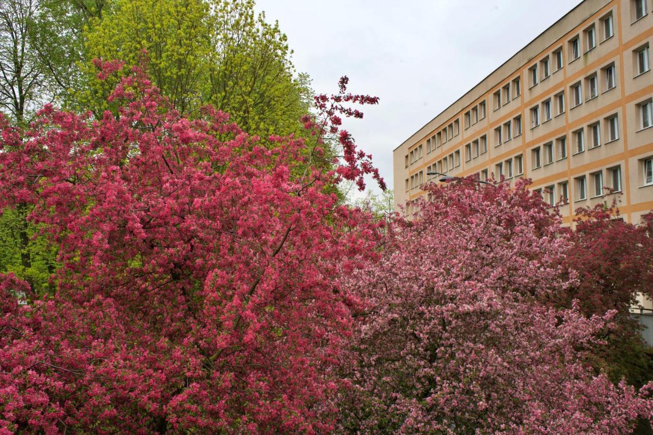 Szucha 27 - Royal Lazienki Flat Warsaw Exterior photo